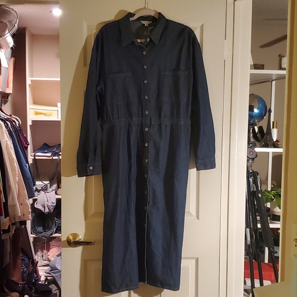 Easel: Dark Denim Button Down Dress